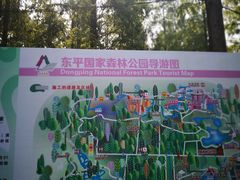 -东平国家森林公园