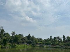 -枫香湖儿童公园