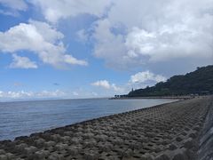 -野狸岛