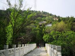 -白水寺森林公园