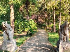 -白马涧龙池景区