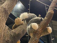 -古琢小馆·珠海味(南方软件园店)