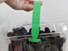 -兴芮温泉度假区