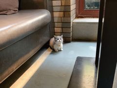 -IFIF 如果花園(宽厚里店)