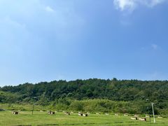 -南京市无想山景区