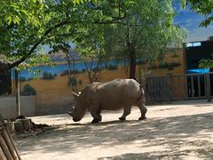 -西安秦岭野生动物园