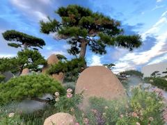 -罗红摄影艺术馆