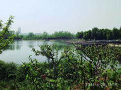 -永定河休闲森林公园