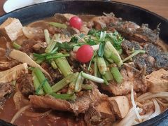 -老板恋上鱼(恒隆广场店)