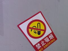 -夜火烤摊·东北烧烤酒场·老杨小黄鱼