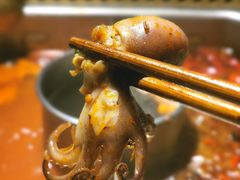 深海八爪鱼-雾都渣渣火锅(南城智汇城店)