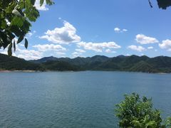 -望湖烤鱼