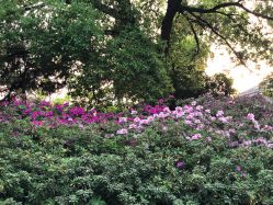 -杰爱月子护理中心