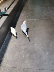 -酷嗒动物文化乐园(cutezoo西溪乐天城店)