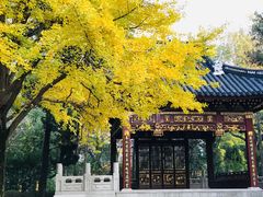 -汇龙潭