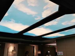-野妹火锅(龙岗店)