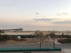 -猫的天空之城概念书店(北戴河蔚蓝海岸店)