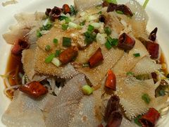 -佬肥猫(国华广场店)