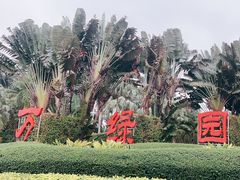 -万绿园