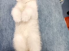 -客栈猫舍(中央北路店)