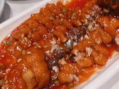 -新侨小馆(东直门北小街店)