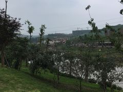 -枫香湖儿童公园