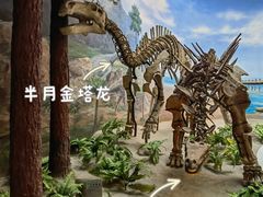 -延庆地质公园博物馆