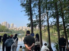 -重庆彩云湖湿地公园