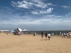 -碧海金沙