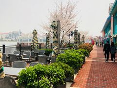 -南小馆(迪士尼小镇店)