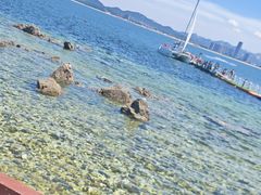 -养马岛旅游度假区
