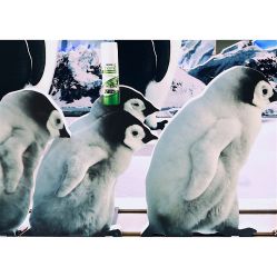 -安利上海体验馆