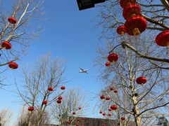 -南宫五洲植物乐园