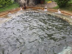 -汕头莲花山度假村温泉