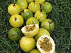 -昆明东站水果交易市场