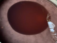 -盛泰恐龙谷温泉