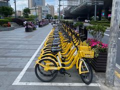 -叶家花园