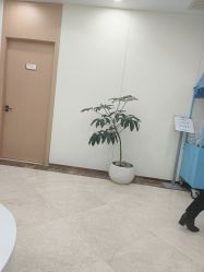 -上海伊莱美医疗美容医院