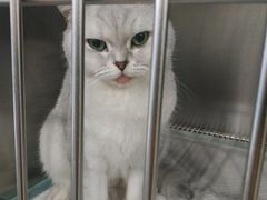 -狗舍宠物医院(四季商业广场店)