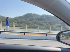 -野狸岛