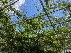 -伊隆斋(什刹海店)