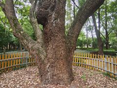 -徐家汇源景区-衡山公园