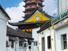 -长广溪湿地公园