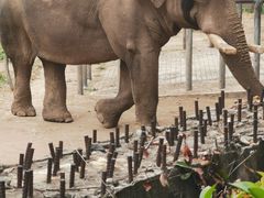 -西安秦岭野生动物园