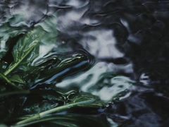 -石潭村