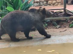 -昆明动物园
