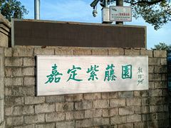 -嘉定紫藤园