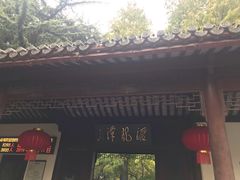-汇龙潭