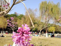 -南宁南湖公园