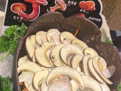 -季季山•云南野生菌火锅(上海首店)